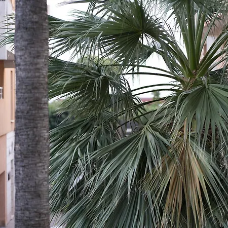 Daire La Petit Maisonette De Manu *